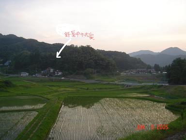 20050609-2.jpg