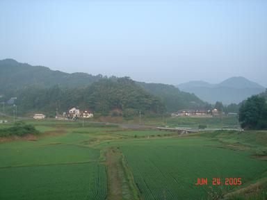 20050624-1.jpg