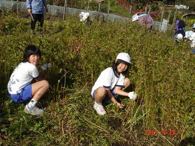 20051024-4.jpg