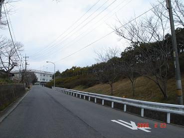 20060223-1.jpg