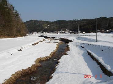 20060305-2.jpg