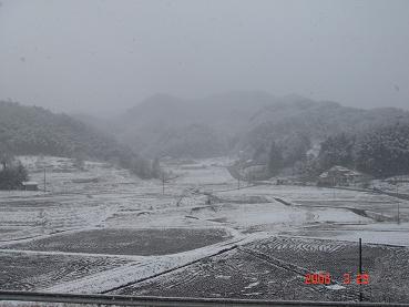 20060329-2.jpg