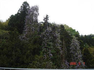 20060507-1.jpg