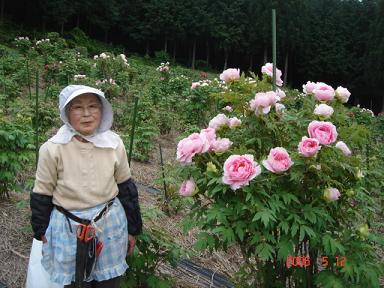 20060512-1.jpg