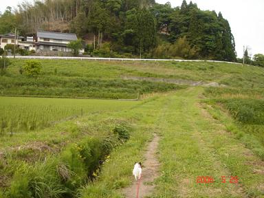 20060525-7.jpg