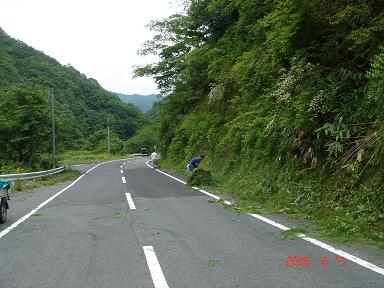 20060611-5.jpg