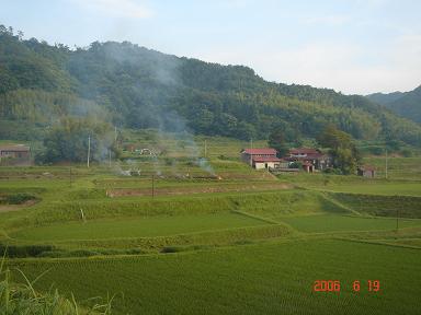 20060619-1.jpg