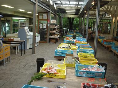 20060705-4.jpg