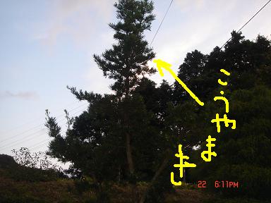 20060922-6.jpg