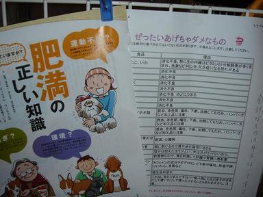 20061124-10.jpg