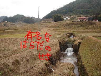 20070103-5.jpg