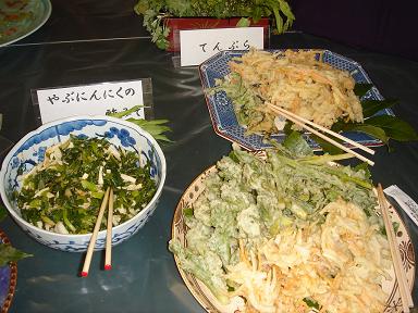 20070401-5.jpg