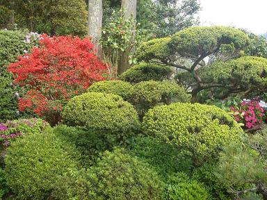 20070502-9.jpg