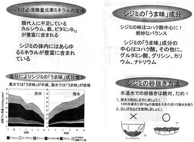 20070511-6.jpg