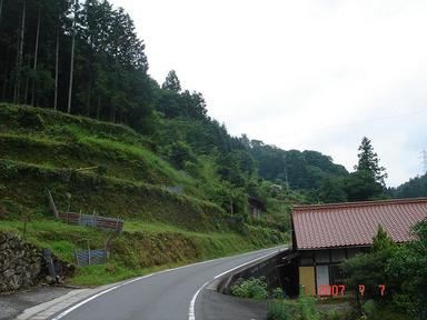 20070707-7.jpg