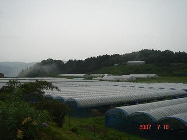 20070710-6.jpg