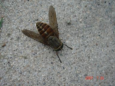 20070720-1.jpg