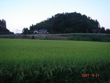 20070821-7.jpg