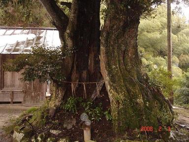 20080203-3.jpg