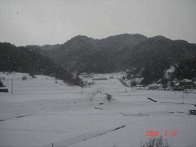20080215-2.jpg