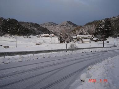 20080225-2.jpg