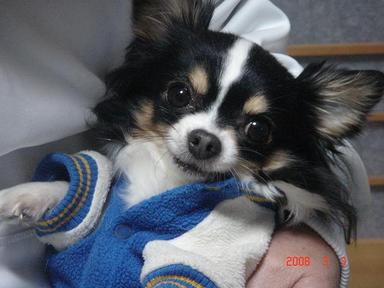 20080303-1.jpg