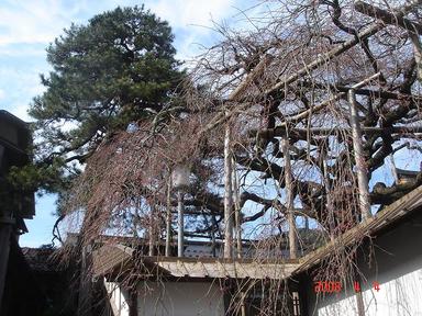 20080404-2.jpg
