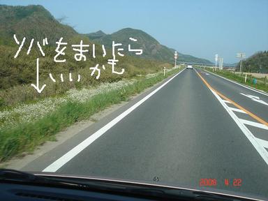 20080422-2.jpg