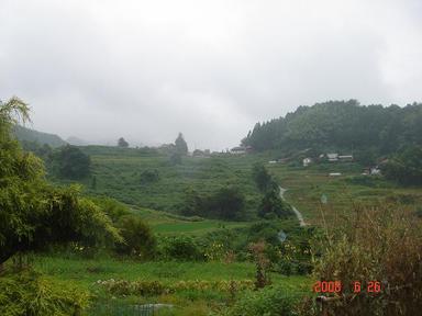 20080626-9.jpg