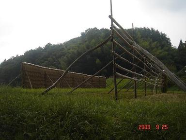 20080925-6.jpg