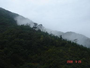 20080930-3.jpg