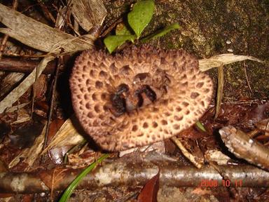 20081019-10.jpg
