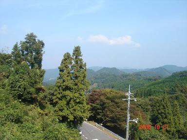 20081021-2.jpg