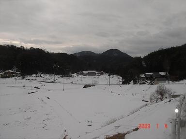 20090104-1.jpg