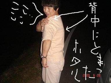 20090628-10.jpg