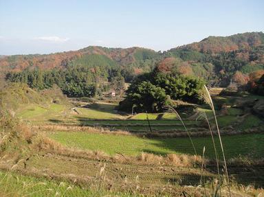 20101126-3.jpg