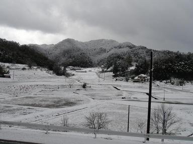 2010326-3.jpg