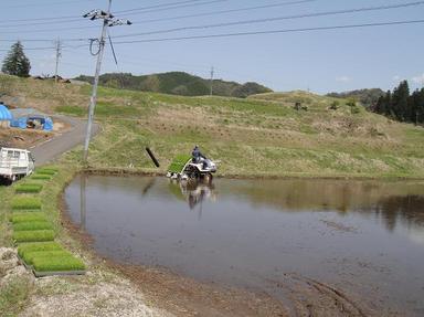 2010429-7.jpg