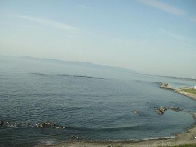 2010508-2.jpg