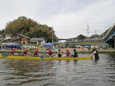 2010509-11.jpg