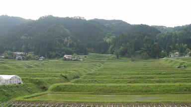 2010601-2.jpg