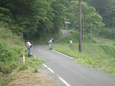 2010620-1.jpg