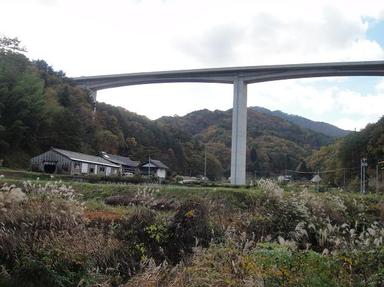 20111116-2.jpg