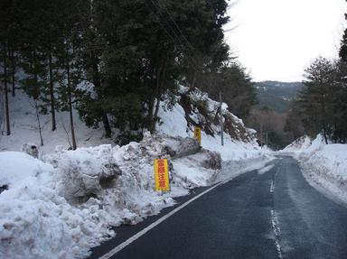 2011203-5.jpg
