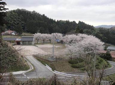 2011416-3.jpg
