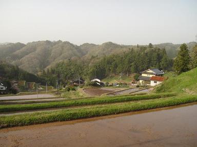 2011502-4.jpg