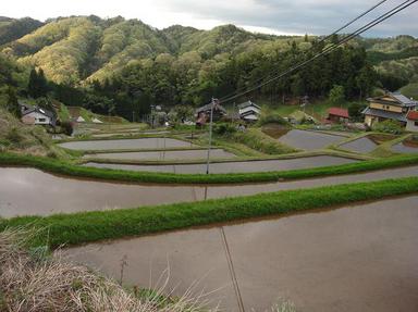 2011507-8.jpg