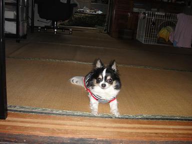 2011525-9.jpg