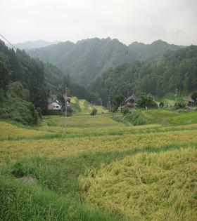 2011910-3.jpg
