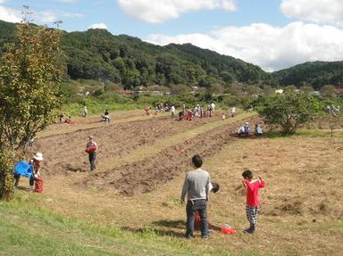 20121008-6.jpg